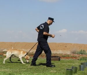 Certificación C4a: equipo canero y perro detectores de explosivos